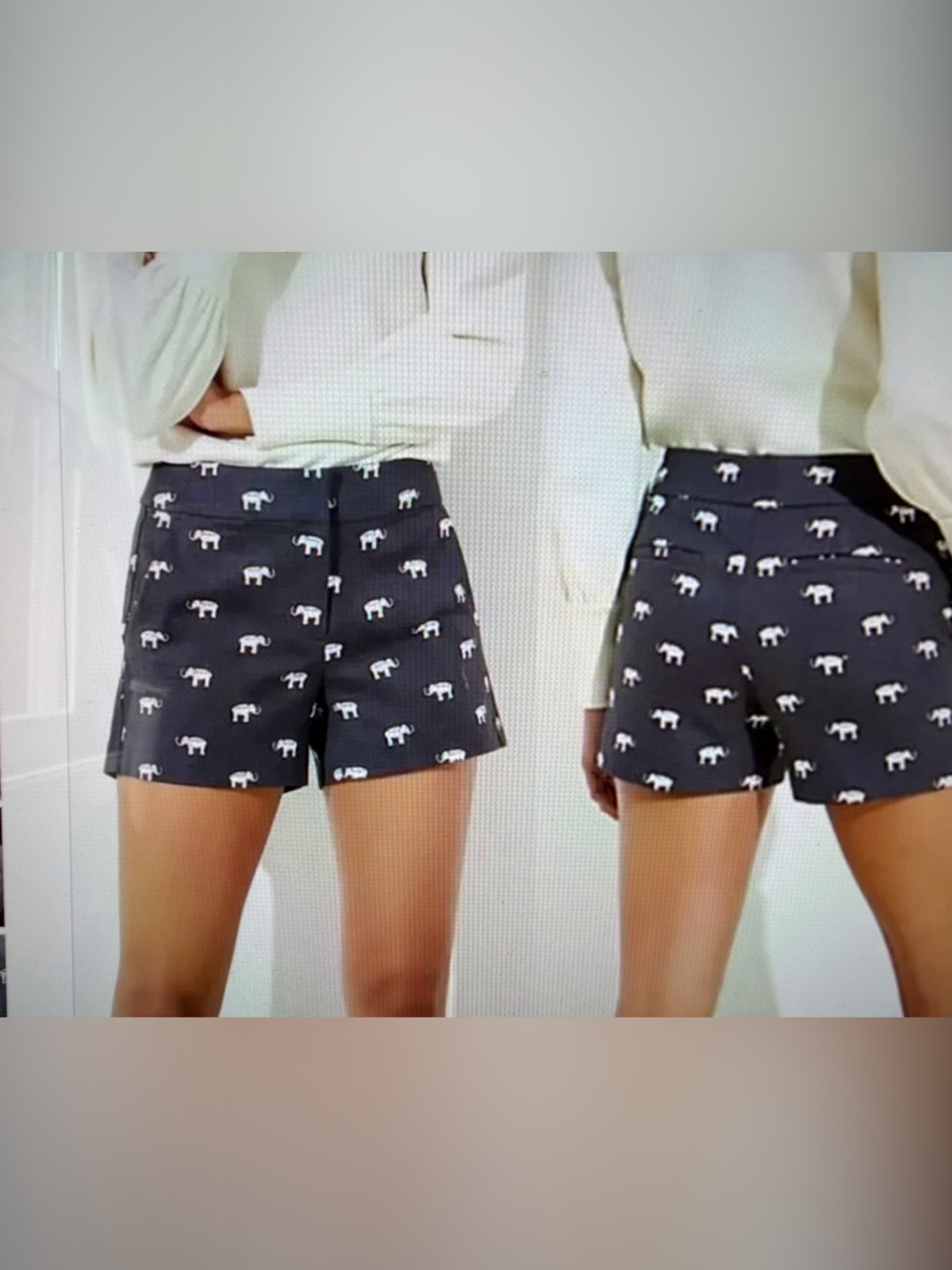 LOFT Gray/Blue Elephant Print Riviera Short